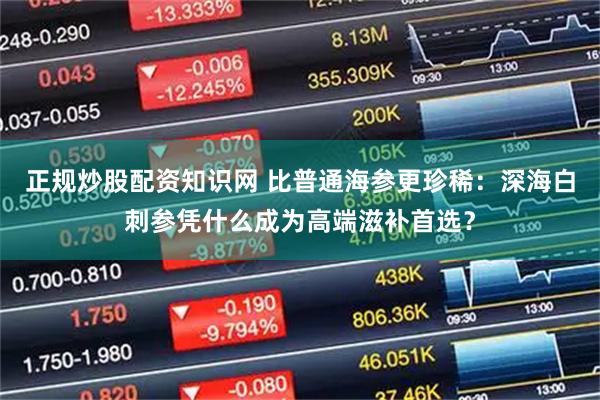 正规炒股配资知识网 比普通海参更珍稀：深海白刺参凭什么成为高端滋补首选？