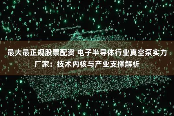 最大最正规股票配资 电子半导体行业真空泵实力厂家：技术内核与产业支撑解析